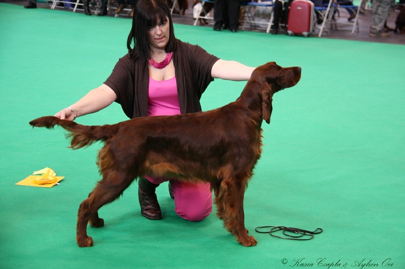 Crufts2011 156.jpg